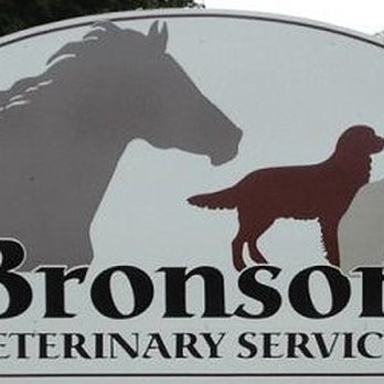 bronson veterinary clinic