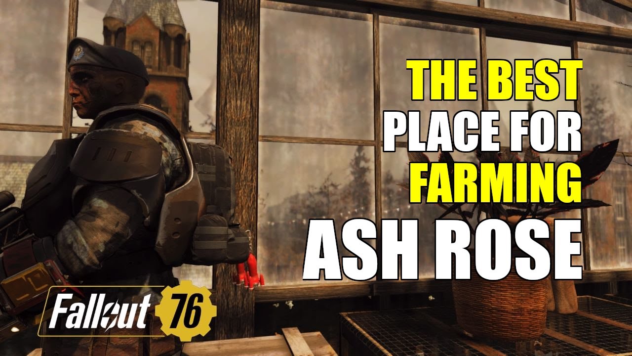 fallout 76 ash rose