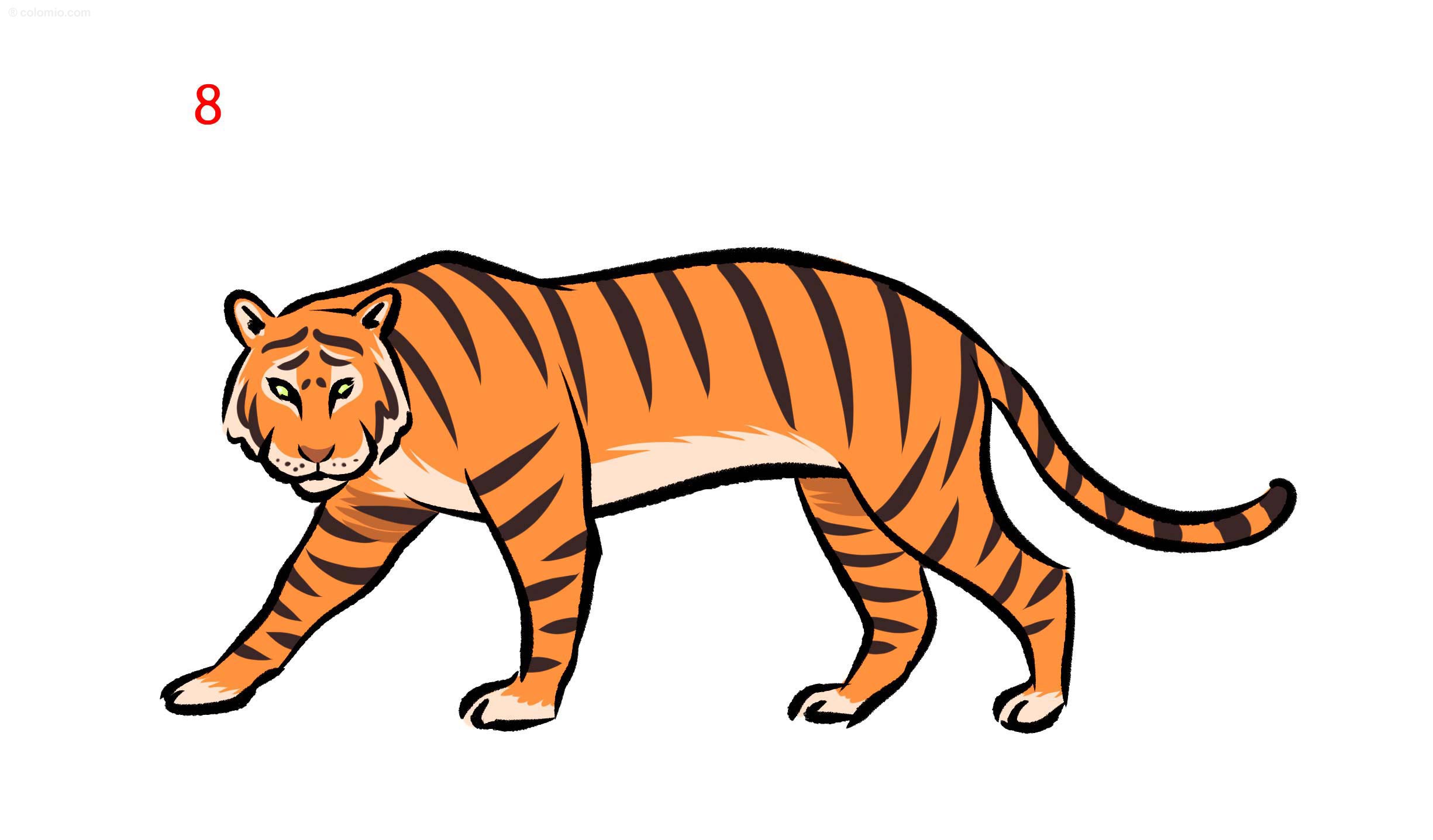 simple drawing of a tiger