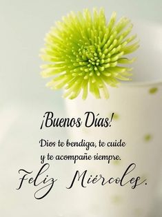 feliz miercoles