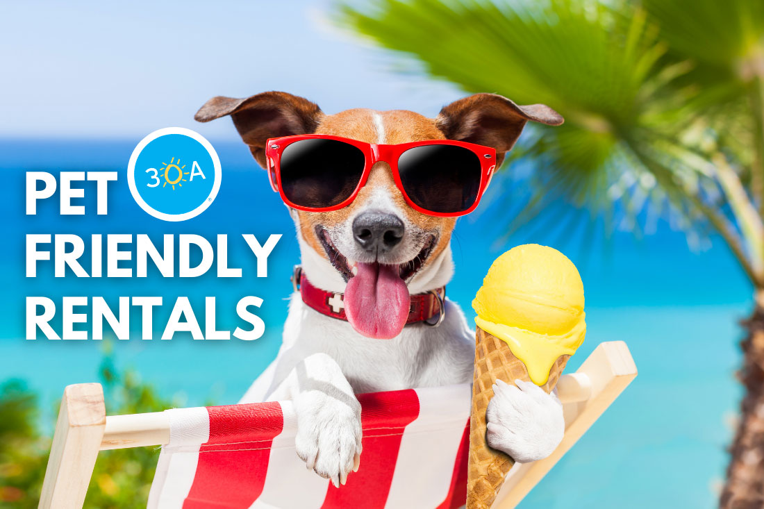 pet friendly rentals