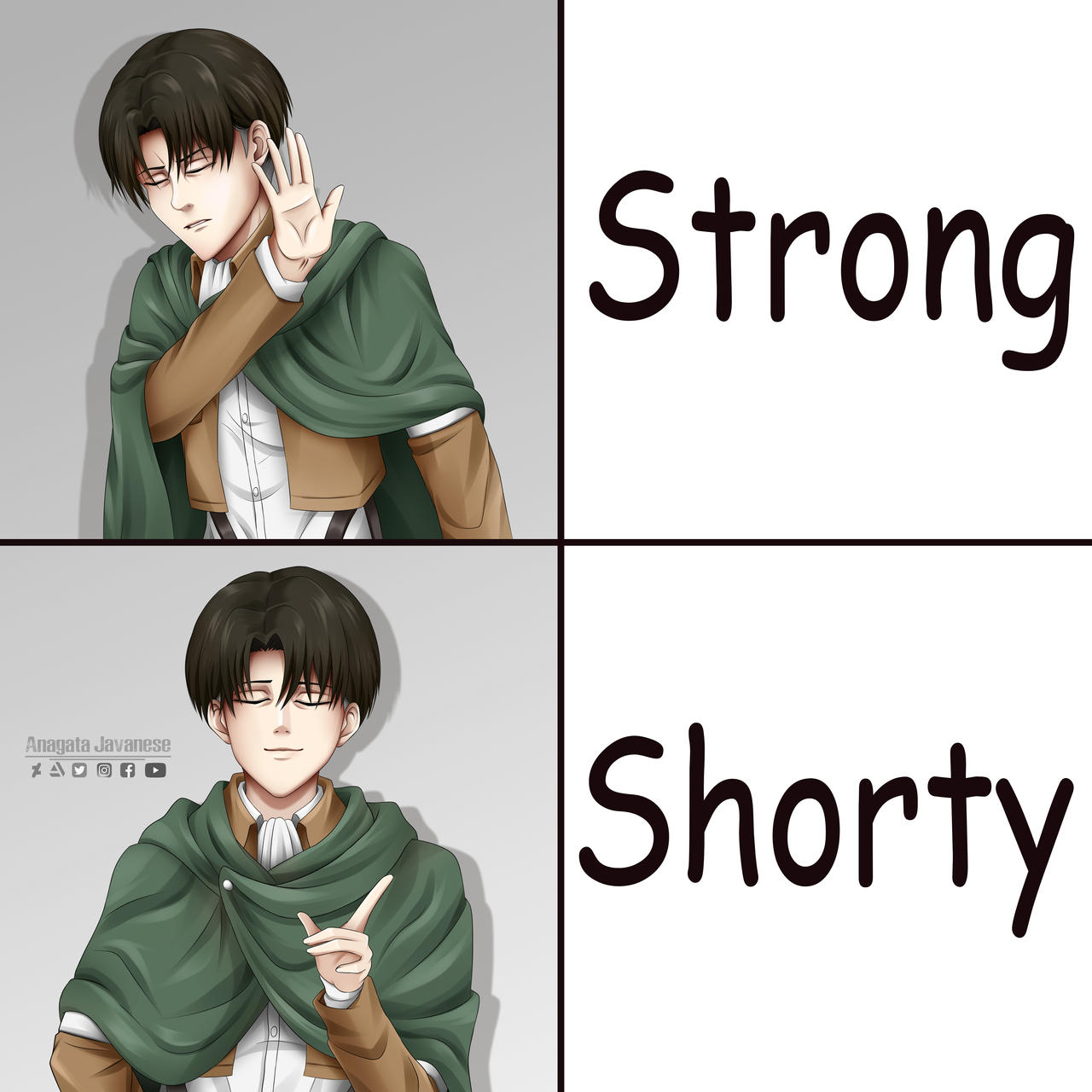 captain levi meme