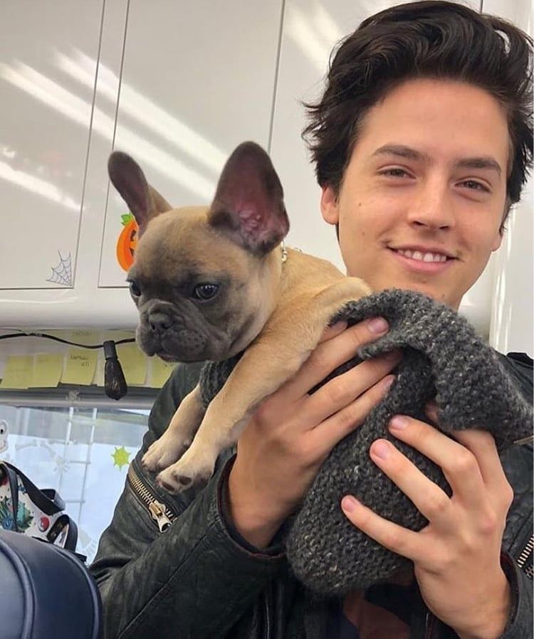 cole sprouse with dogs