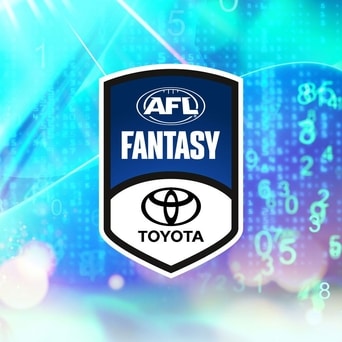 afl.com.au