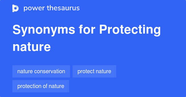 protect thesaurus