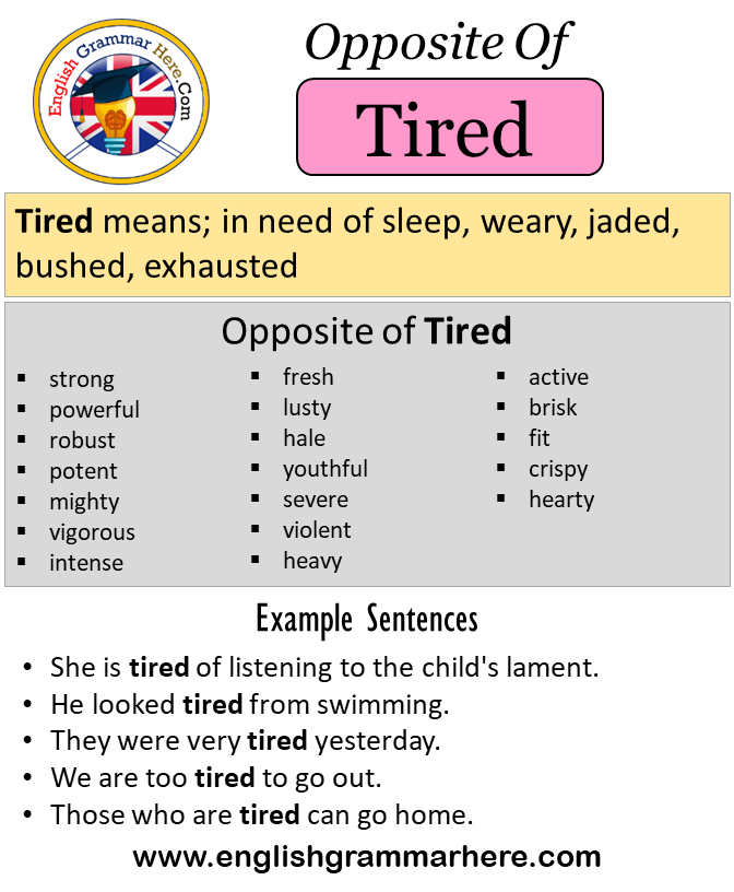 tired antonym