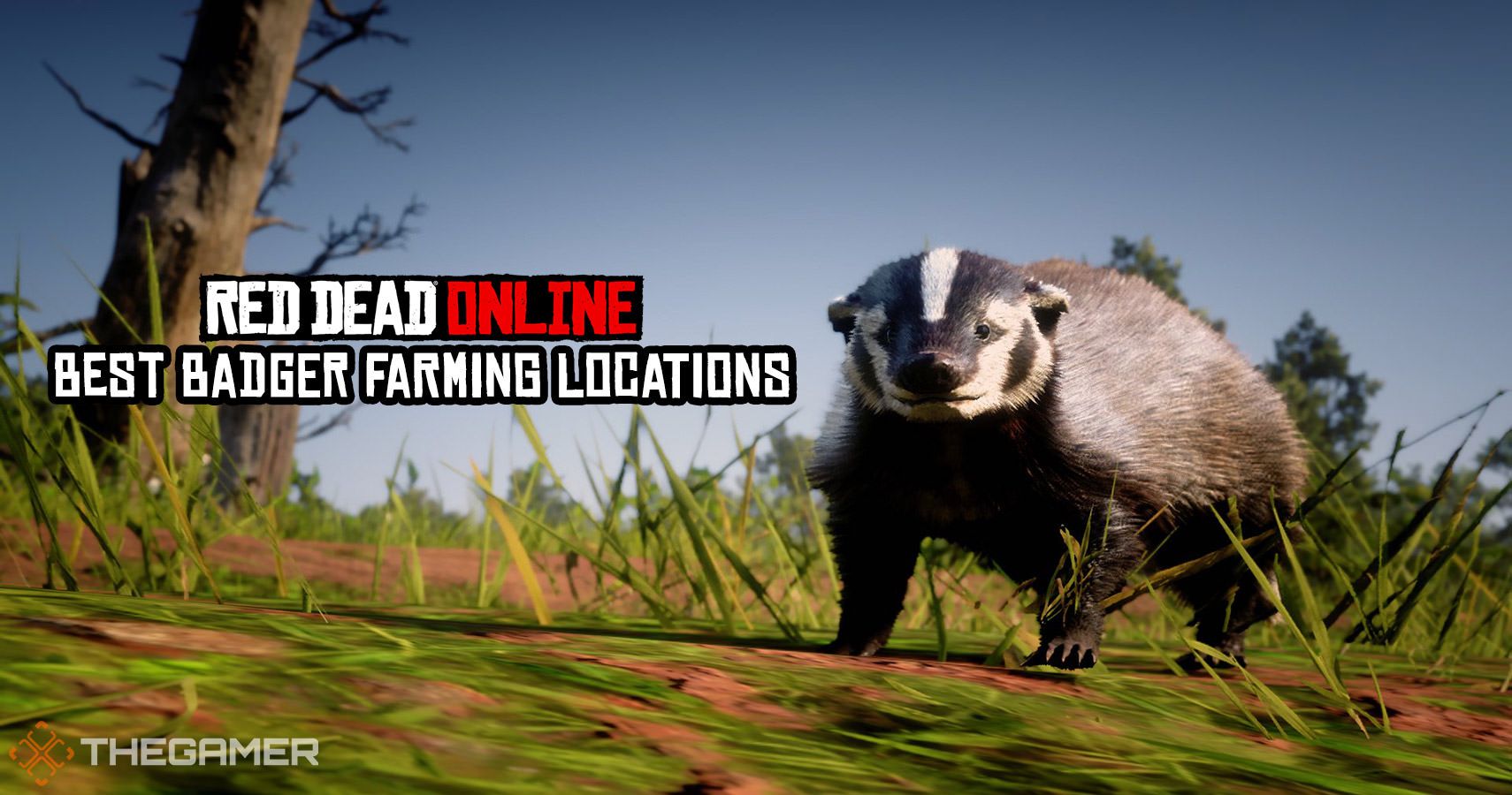 badger rdr2