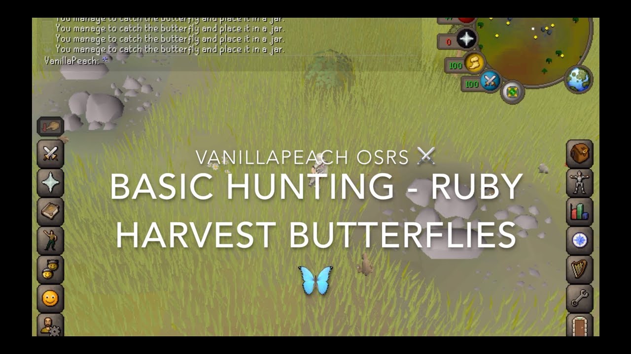 butterflies osrs