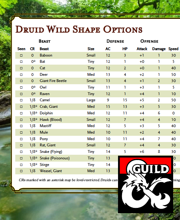 dnd druid wild shape