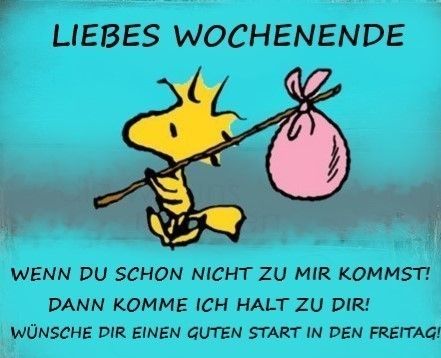 snoopy freitag bilder