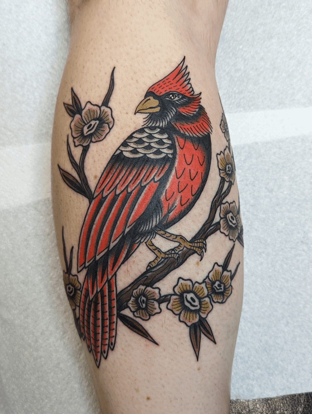 cardinal tattoo