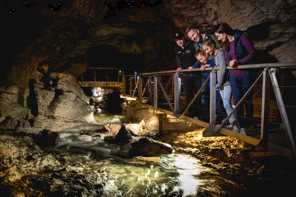 te anau glowworm caves tickets