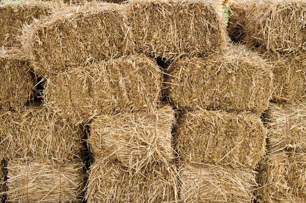 straw bales for sale