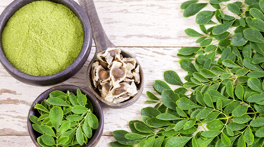 moringa leaf powder side effects