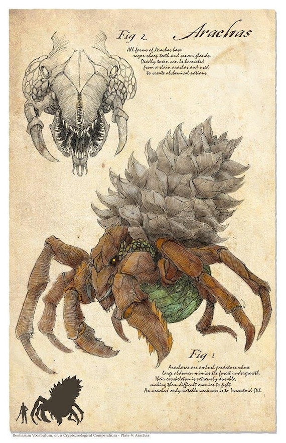 arachas