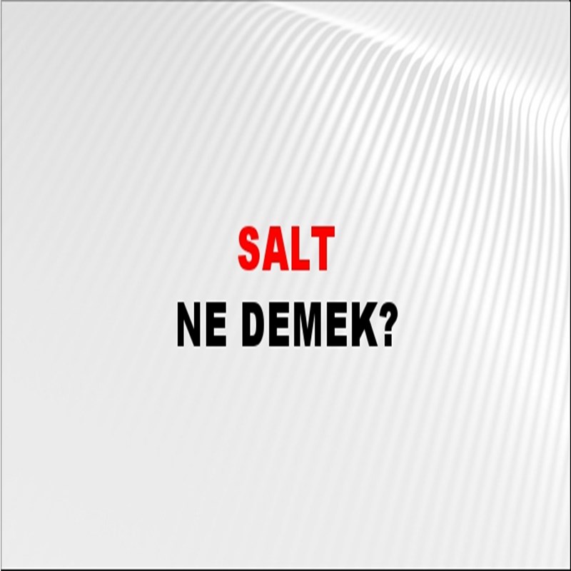 salt ne demek