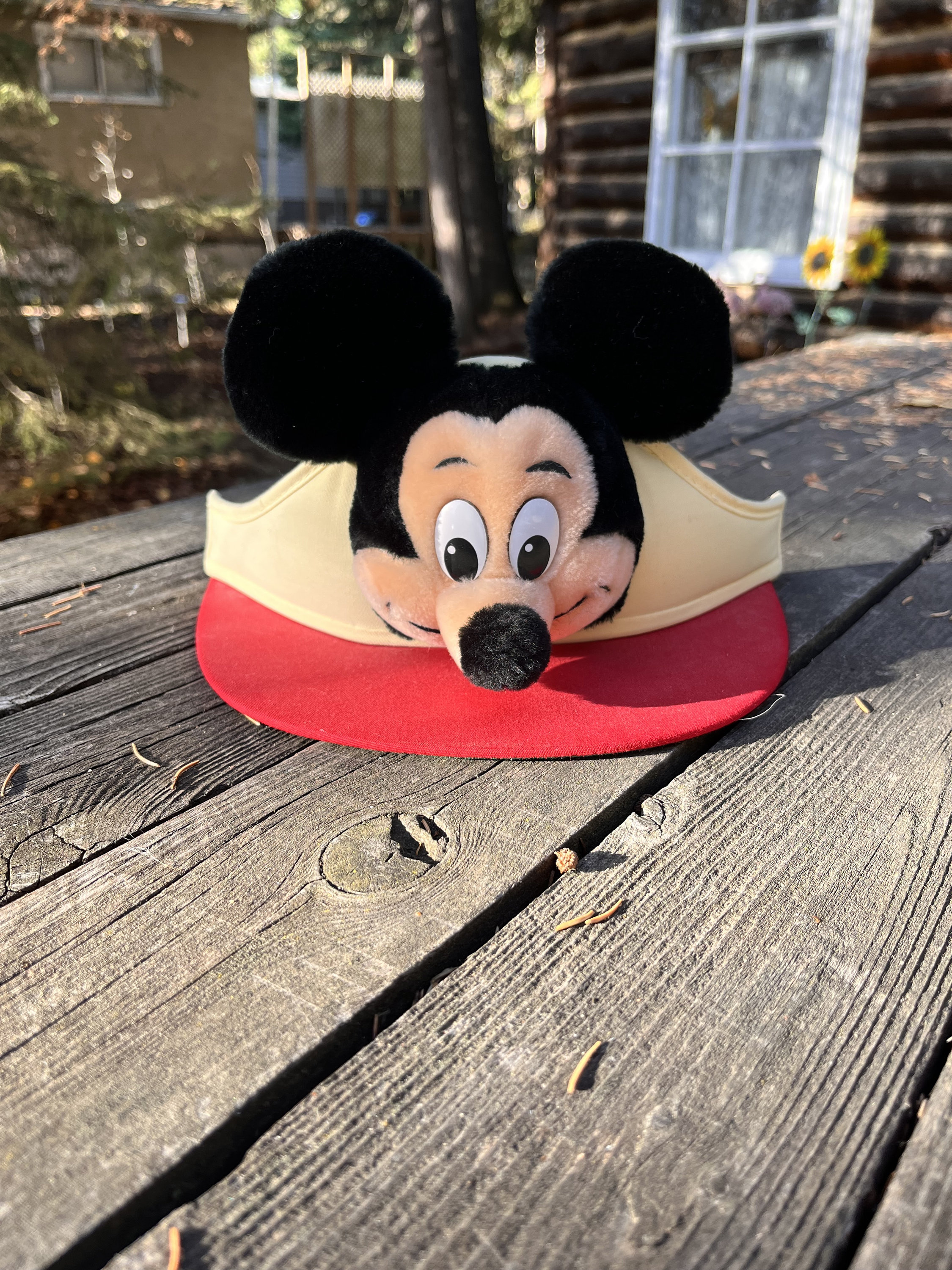 mickey mouse hat