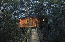 wayanad tree house low price