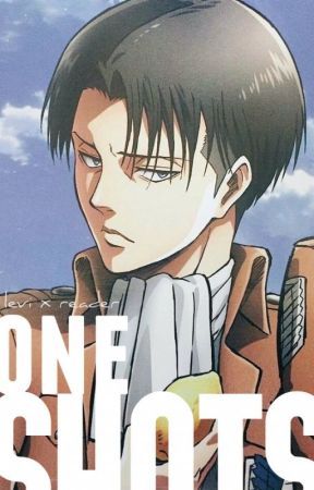 levi ackerman x reader