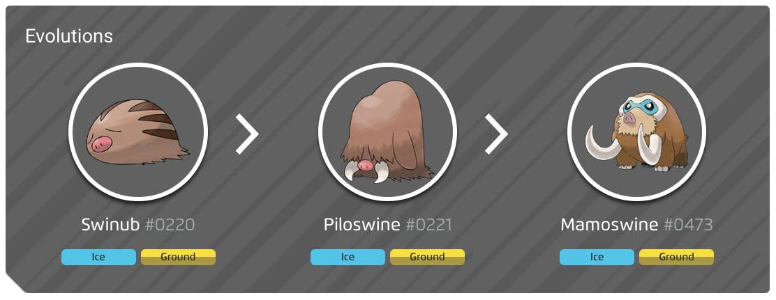 piloswine evolve