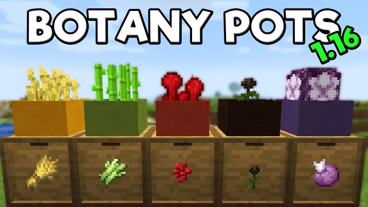 botany pots