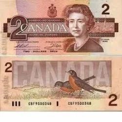 canadian dollar to india