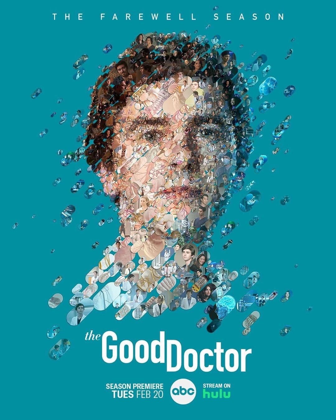 the good doctor imdb