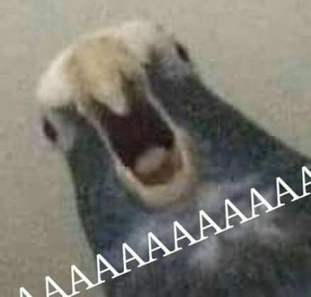 aaaaaaaaaaaaaaaaaaaaaaaaaa