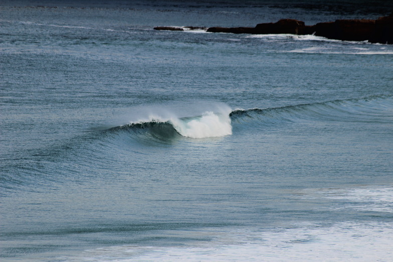 surf report tas