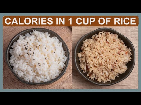 how much protein in 1 cup white rice