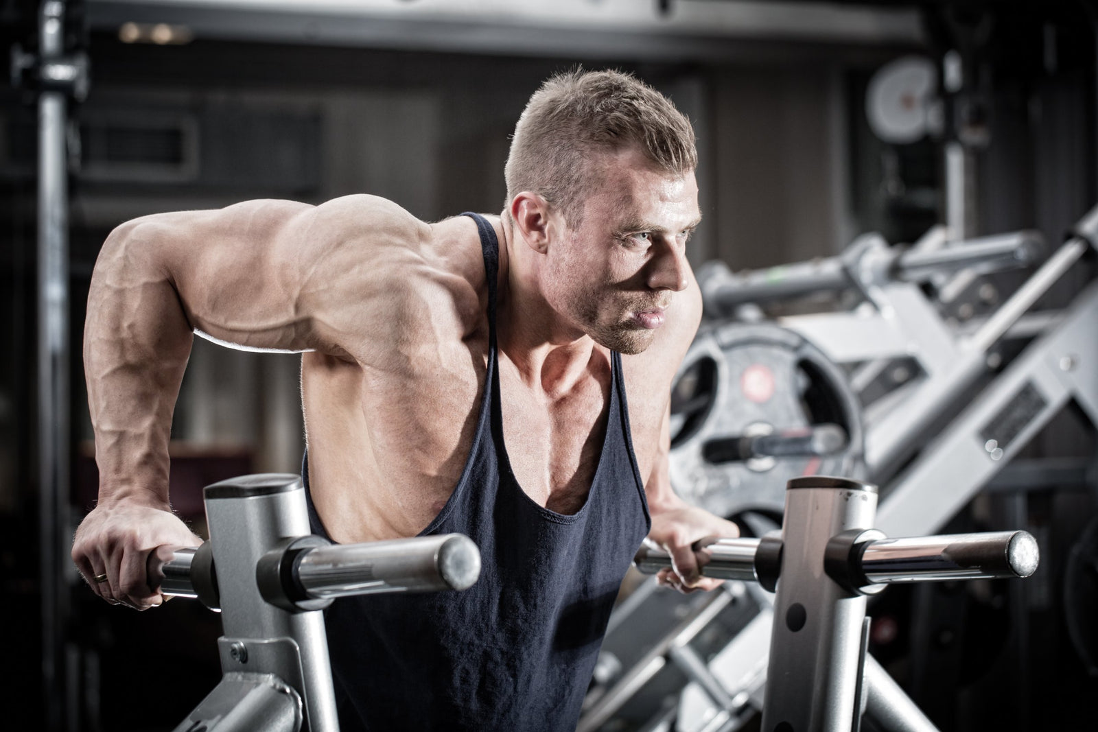 alternatives to dips for chest