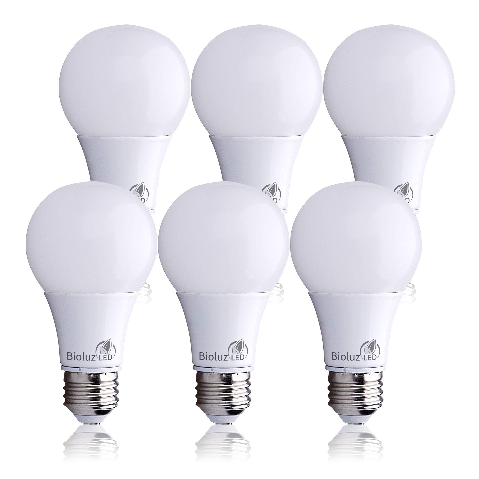 40 watt bulb