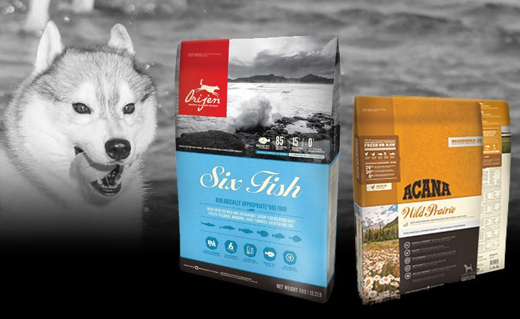 acana dog food recall