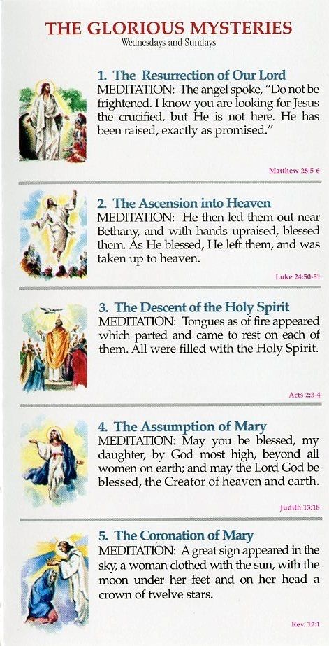 holy rosary for today