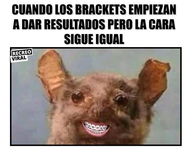 memes con brackets