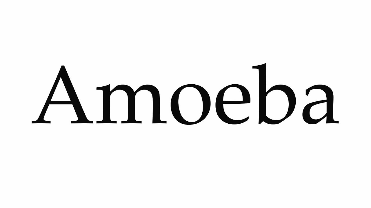 amoeba pronounce