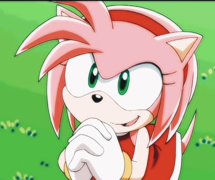 amy the hedgehog sonic x