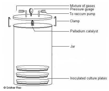 anaerobic jar diagram