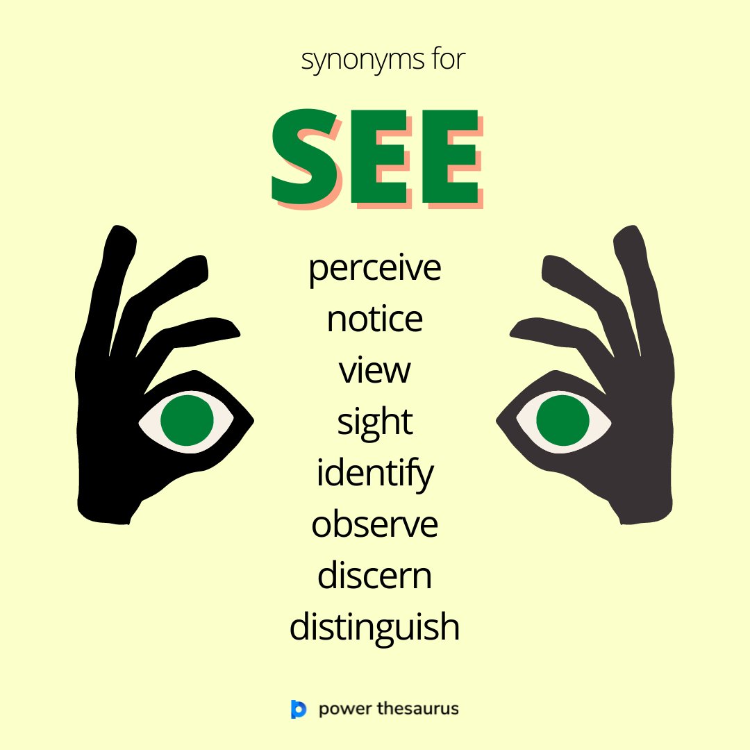 another word for see