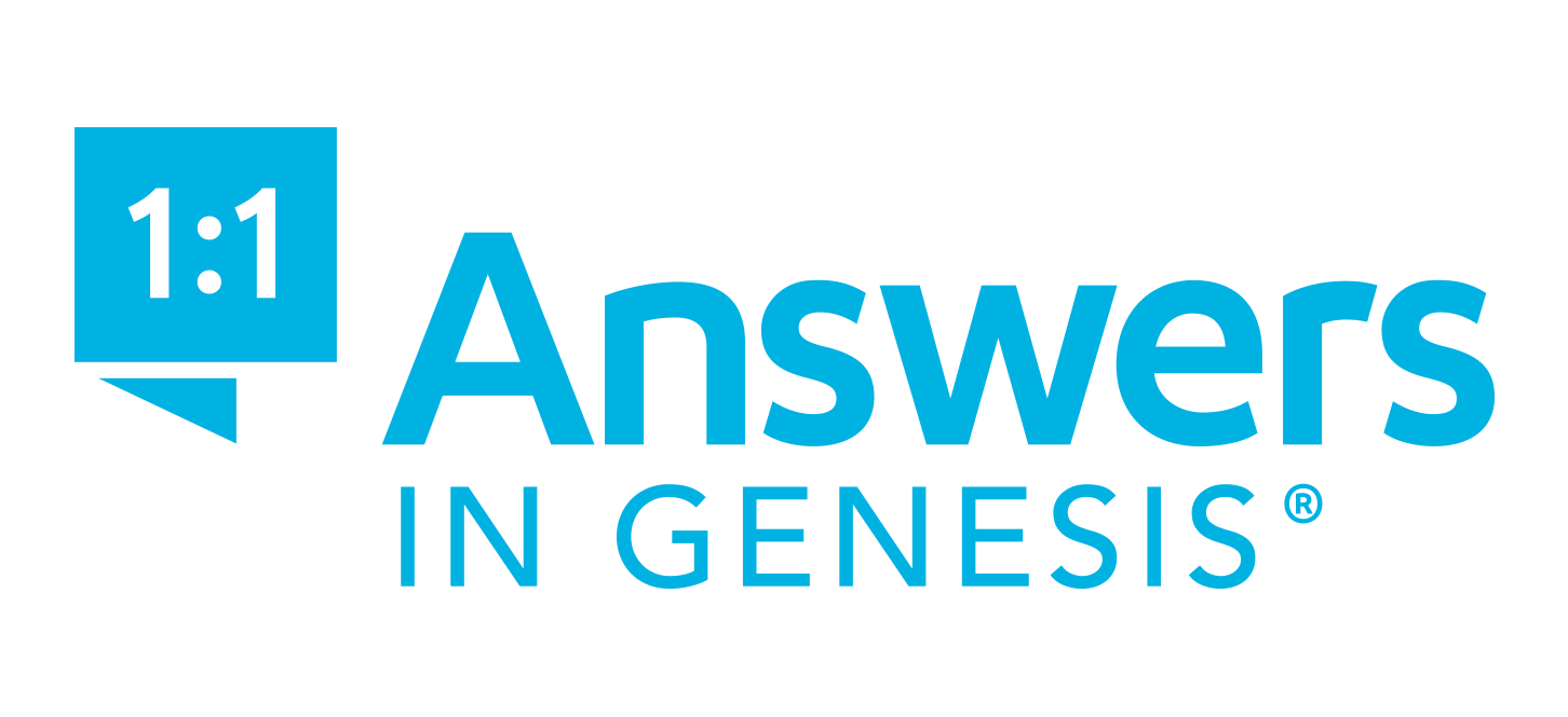 answers in genesis