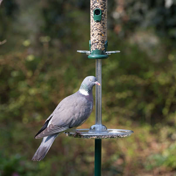 anti pigeon bird feeder