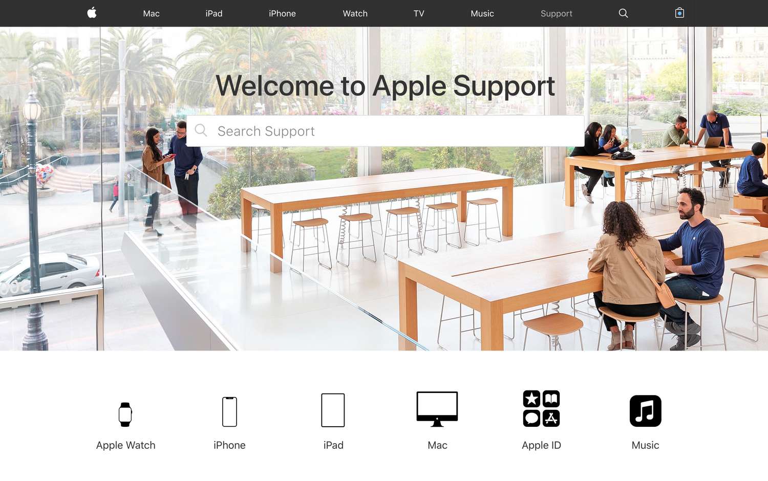 apple robina appointment