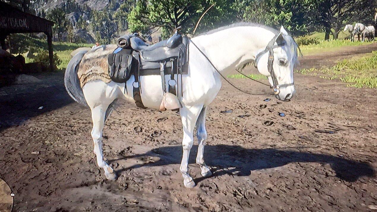 arabian white horse rdr2