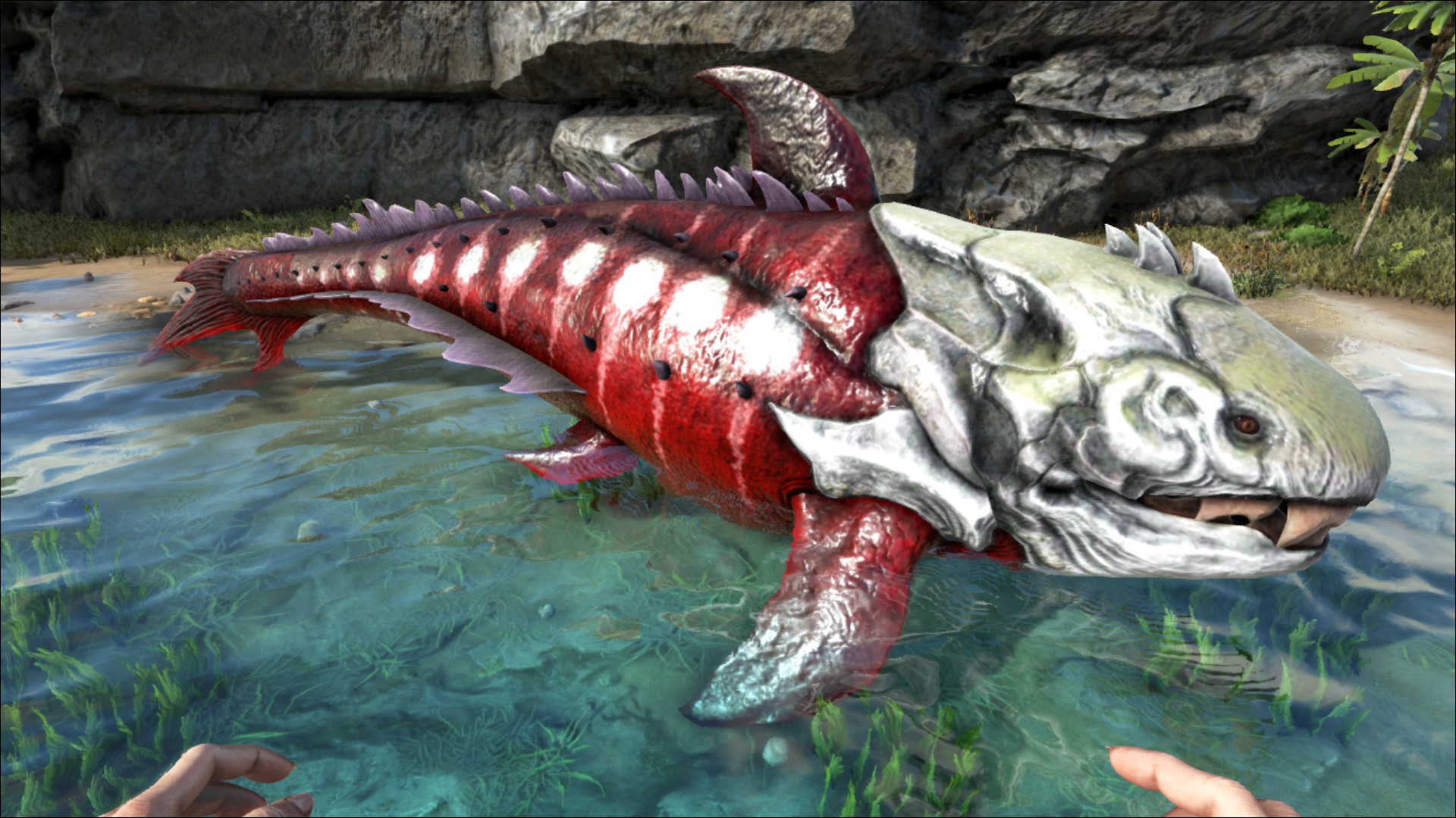 ark survival evolved dunkleosteus