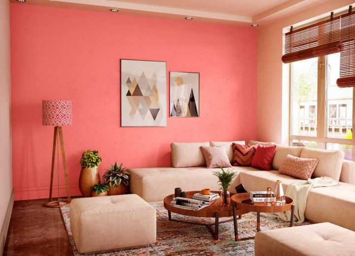 asian paints pink colour price