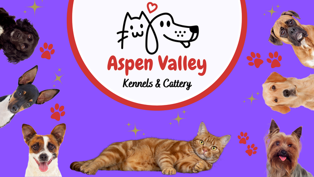 aspen valley kennels