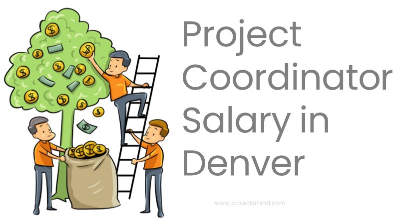 average project coordinator salary