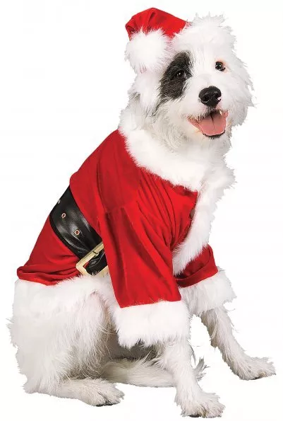 dog santa suit