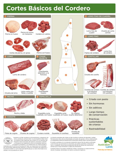 lamb en español