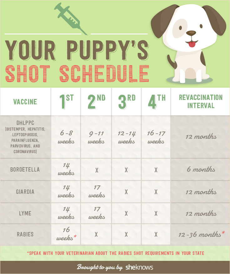 puppy shot guide